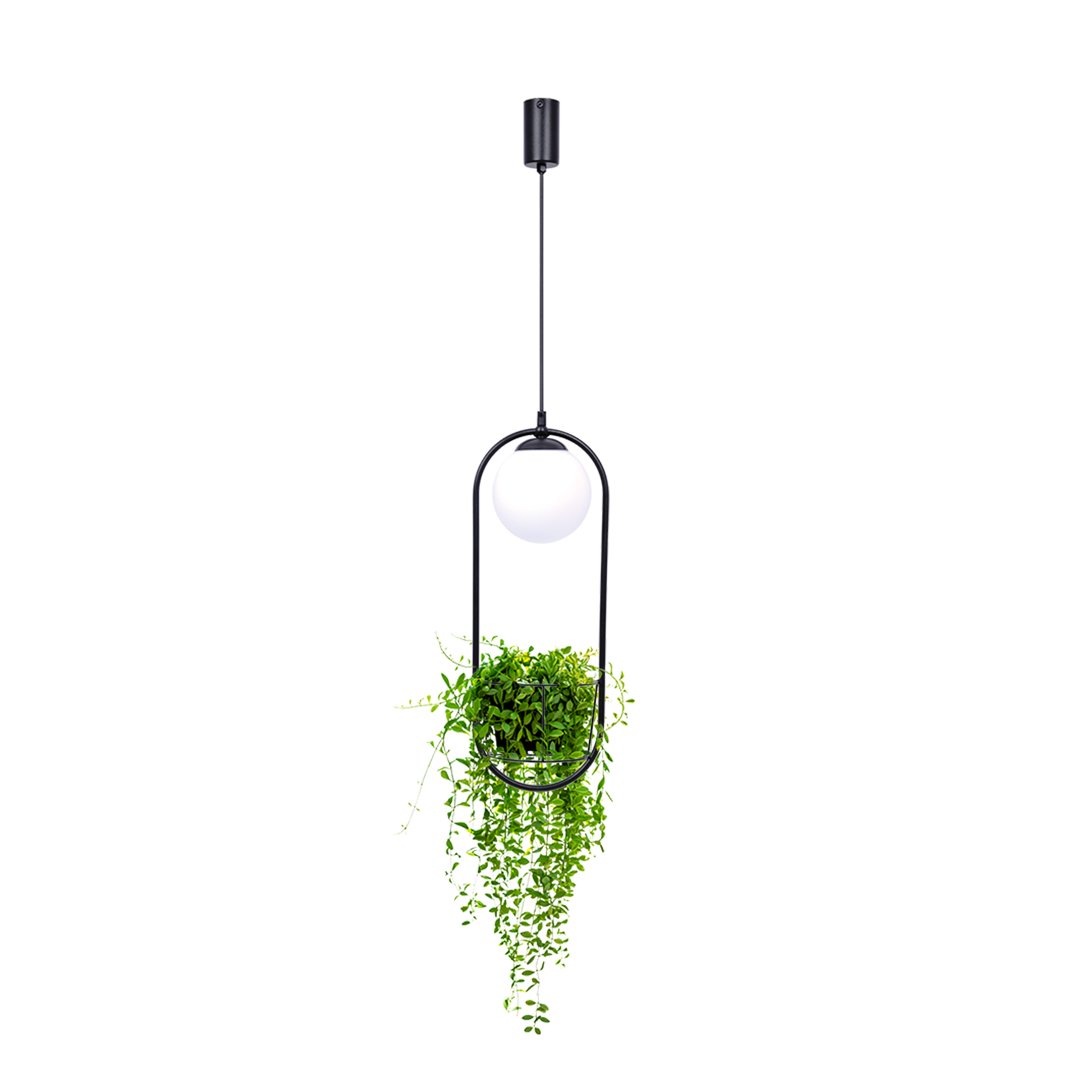 Lampa Suspendata Plant 1 5003