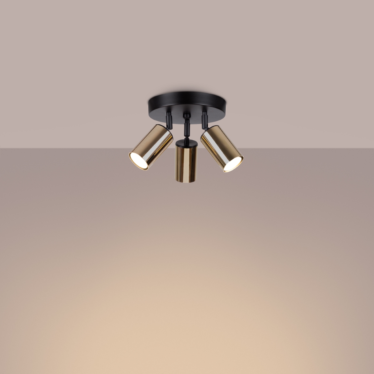 2c1f234659e49e97848f9ae6570ff559