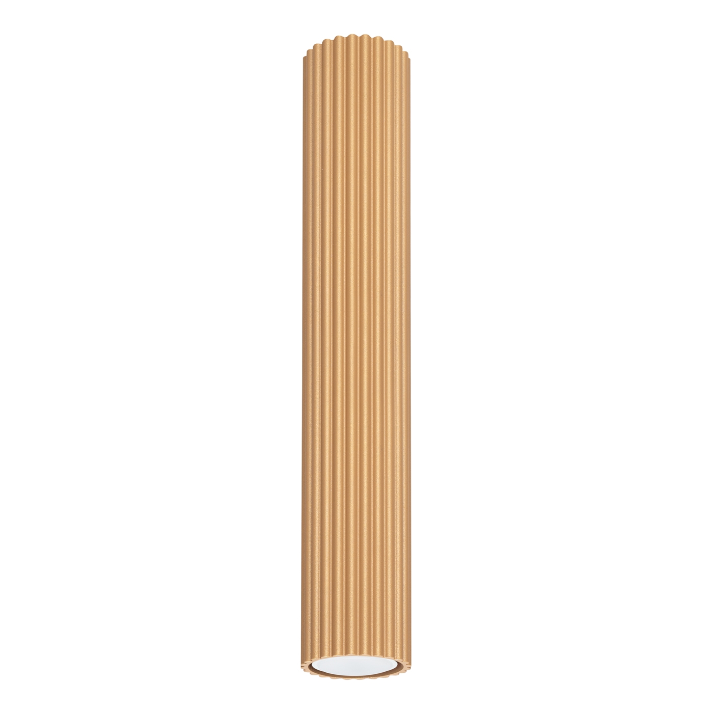 1f12c5bb9dbbe4b432524215bd339f4f